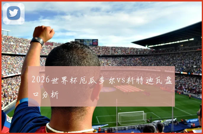 2026世界杯厄瓜多尔vs科特迪瓦盘口分析