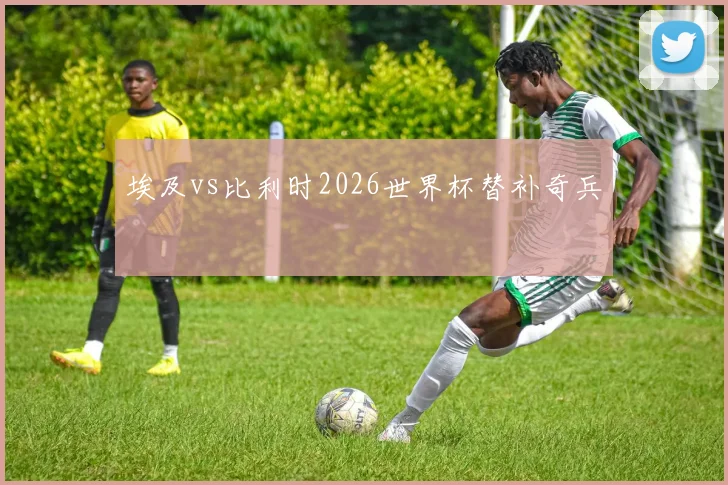 埃及vs比利时2026世界杯替补奇兵