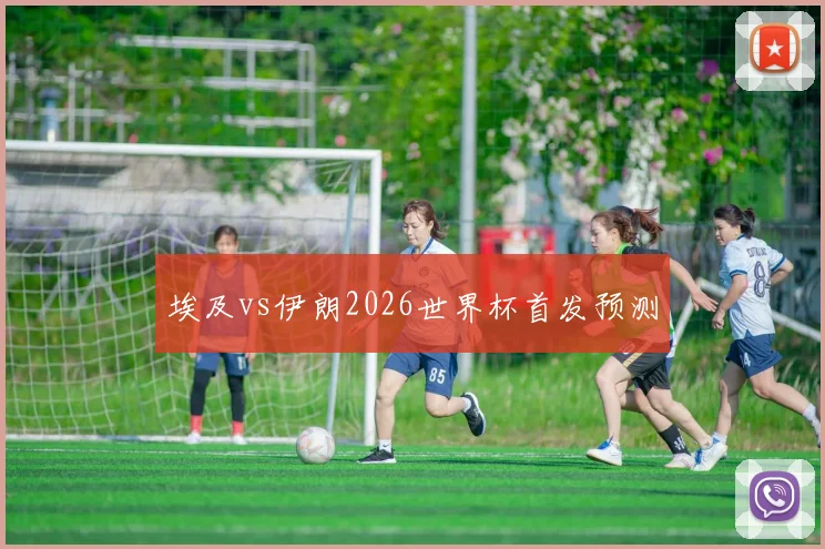 埃及vs伊朗2026世界杯首发预测