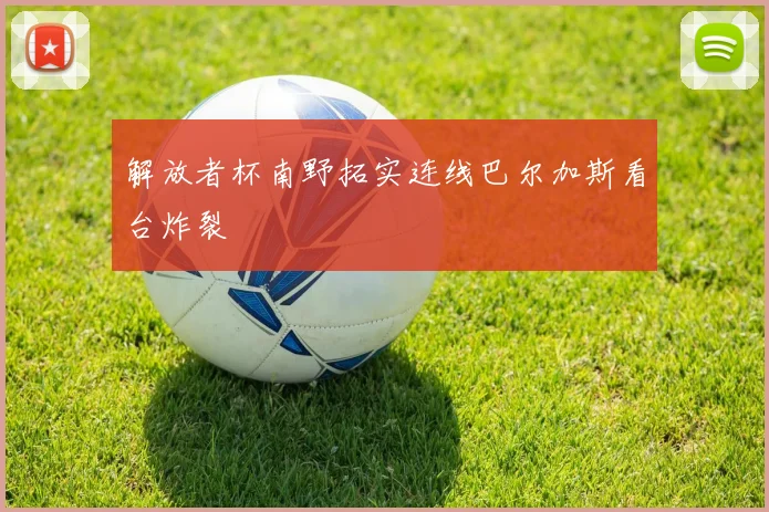 解放者杯南野拓实连线巴尔加斯看台炸裂