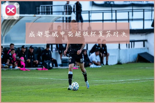 成都蓉城申花超级杯复苏对决