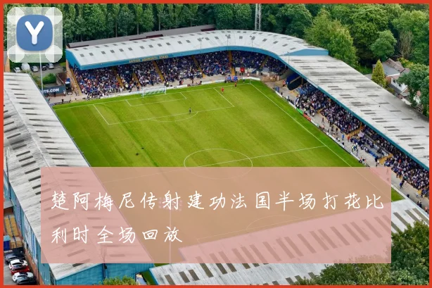 楚阿梅尼传射建功法国半场打花比利时全场回放