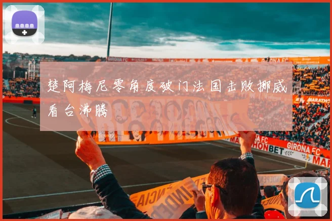 楚阿梅尼零角度破门法国击败挪威看台沸腾