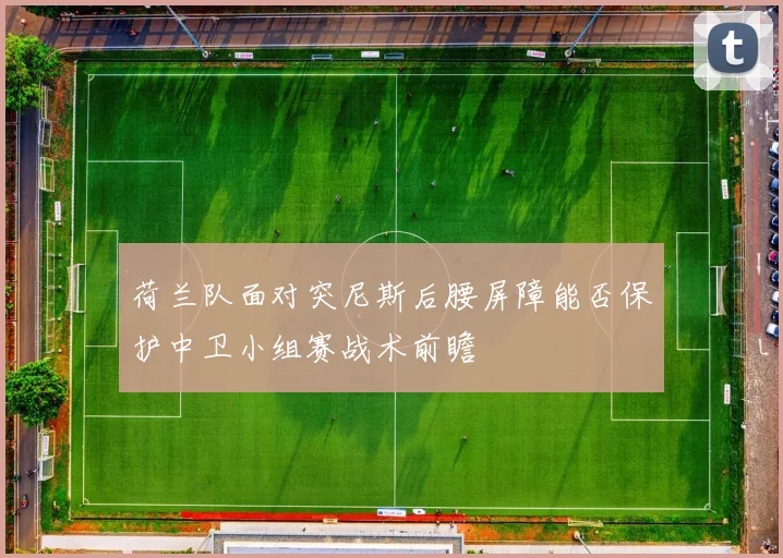 荷兰队面对突尼斯后腰屏障能否保护中卫小组赛战术前瞻