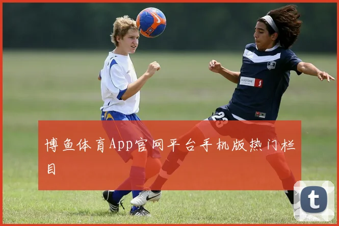 博鱼体育App官网平台手机版热门栏目