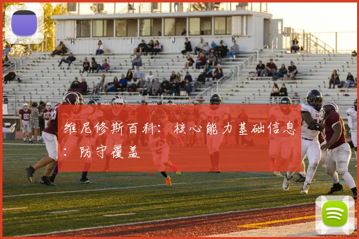 维尼修斯百科：核心能力基础信息：防守覆盖